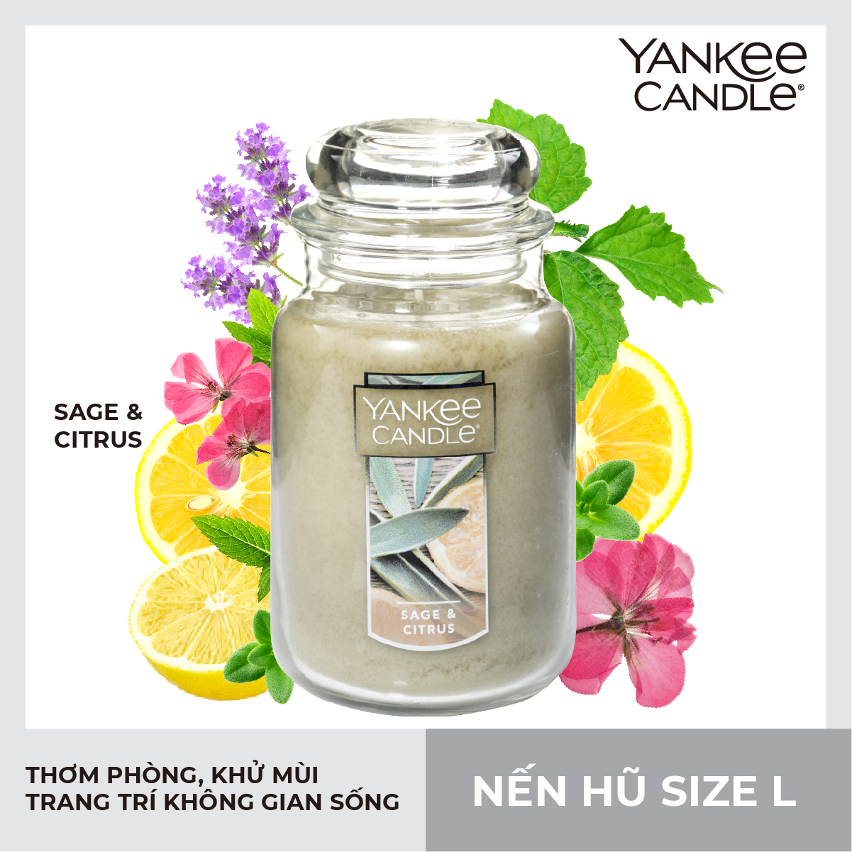 Nến Hũ Yankee Candle - Sage &Amp; Citrus - L 623G