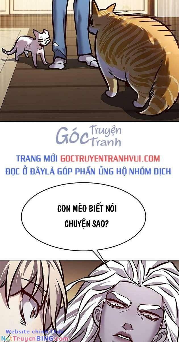 biến thân thành mèo chapter 278 16