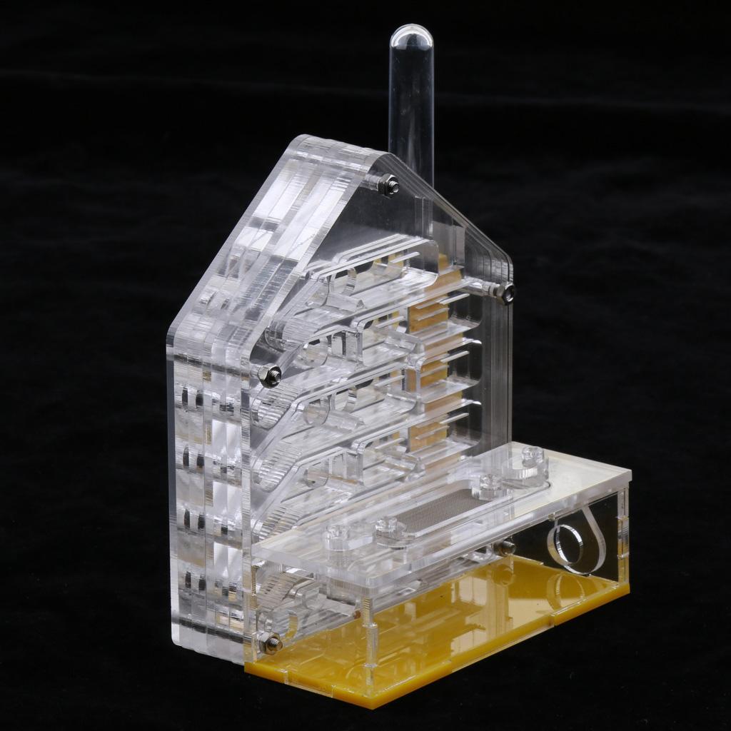 Clear Insect Ant Housing Acrylic Nest Ants Feed Farm Formicarium Box