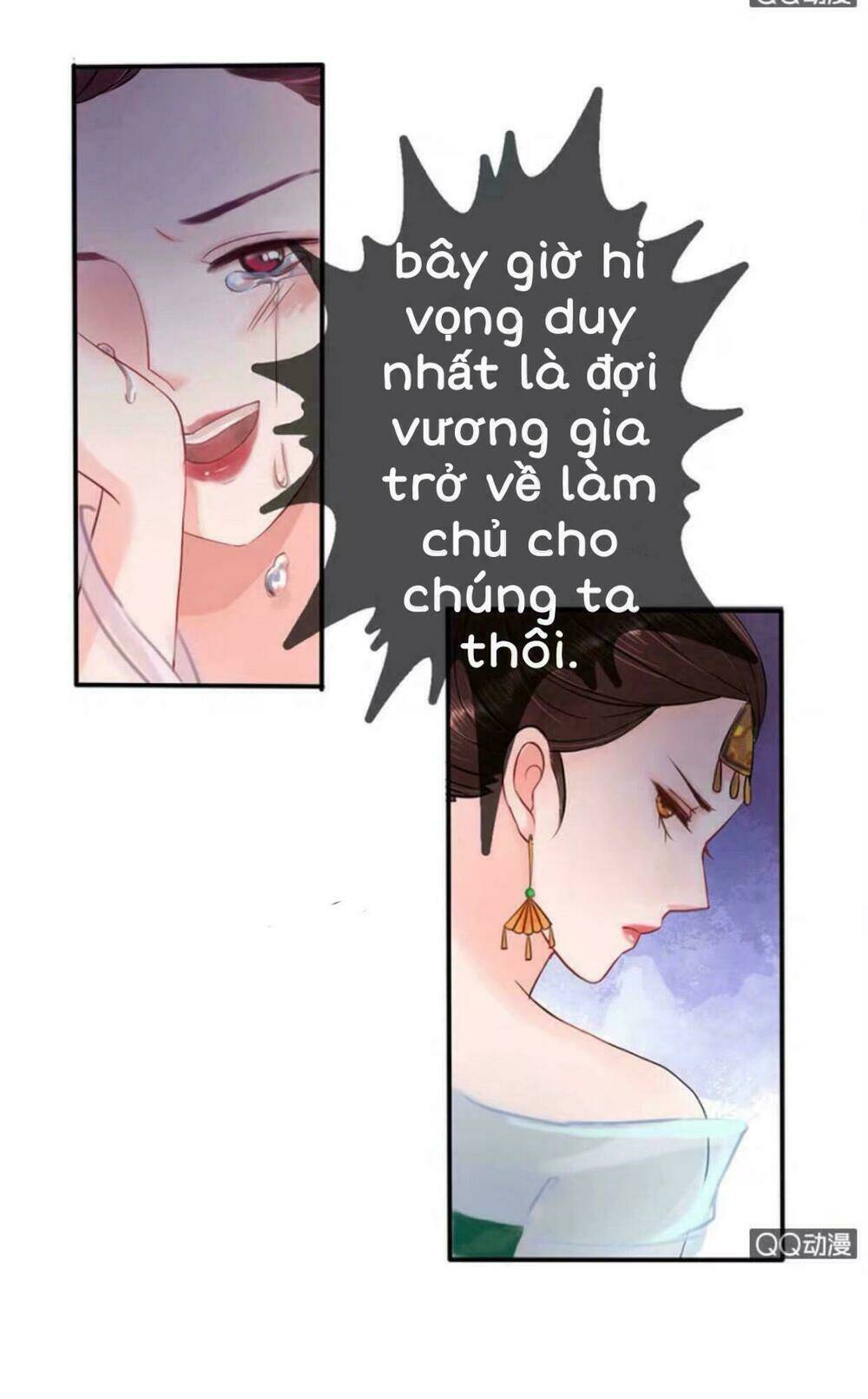 sủng phi của vương chapter 8 11