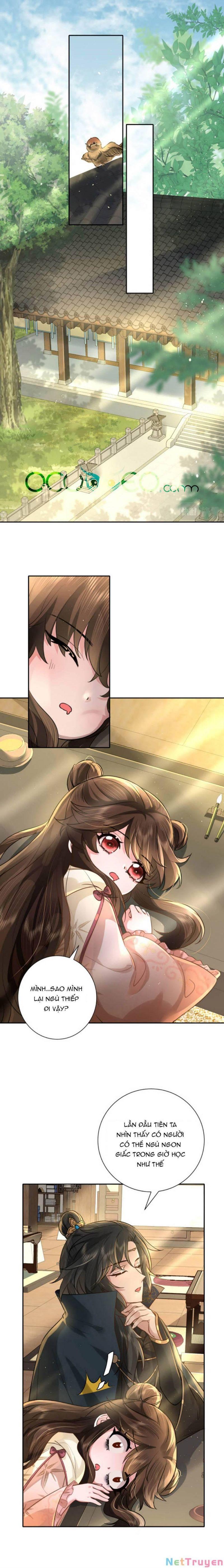 phương thức sinh tồn của công chúa pháo hôi chapter 31 1