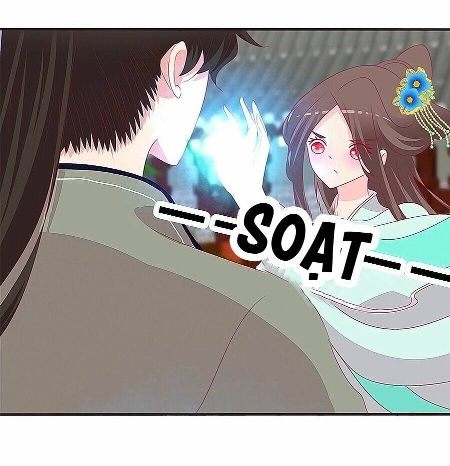 tướng quân mời ra trận chapter 181 23