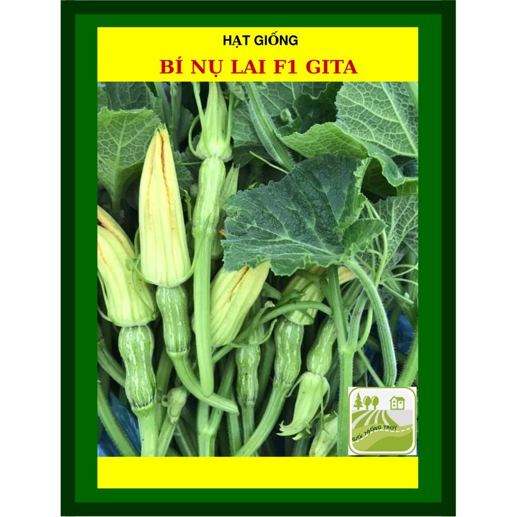 Hạt Giống Bí Nụ Lai 2 Gram