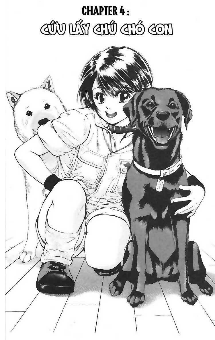 cô nàng yêu chó chapter 4 1