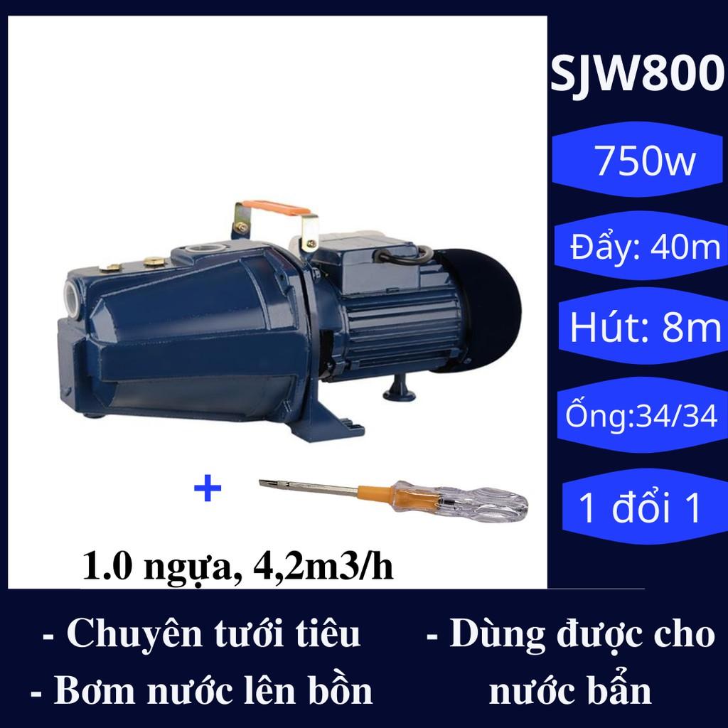 Máy bơm nước Jet100 chuyên dùng để tưới tiêu, hút nước dùng được cho nước giếng, ao hồ, nước sạch công suất 1.0hp