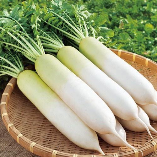 Hạt Giống Củ Cải Trắng F1 Siêu Dễ Trồng