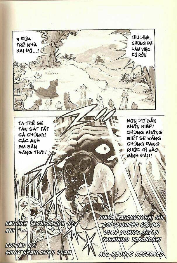 chú chó có nghĩa - ginga nagareboshi gin chapter 15 11