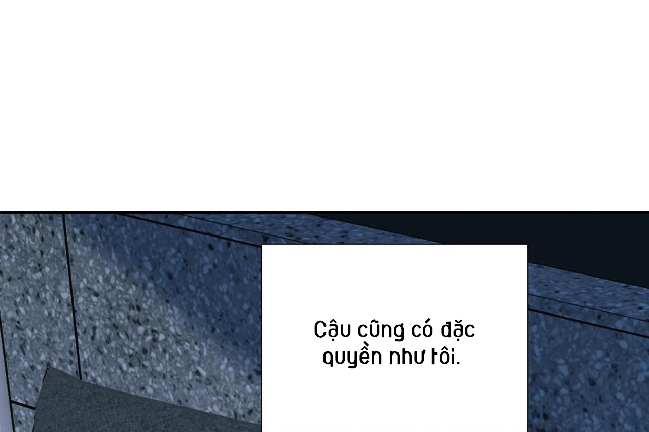 ám ảnh pheromone chapter 53 62