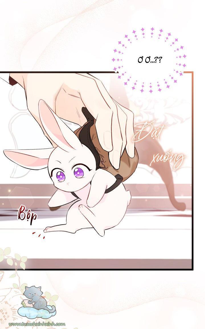 quan hệ cộng sinh giữa báo đen và thỏ trắng chapter 59 22