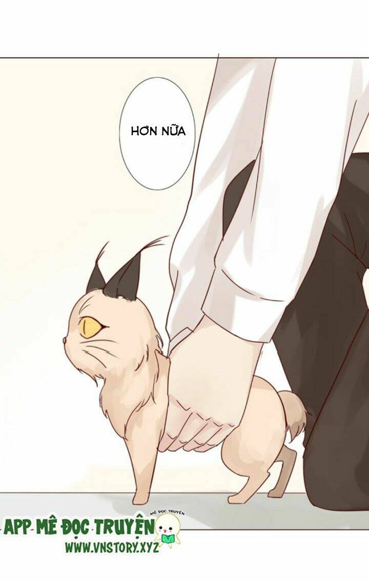 hồ tiên này không tin được chapter 9 6