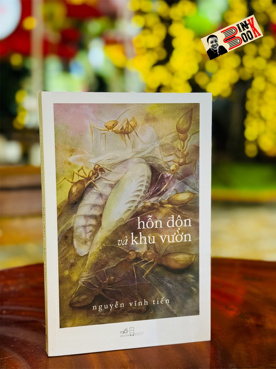 (In màu) HỖN ĐỘN VÀ KHU VƯỜN - Nguyễn V.ĩnh T.iến - Nhã Nam - NXB Hội nhà văn