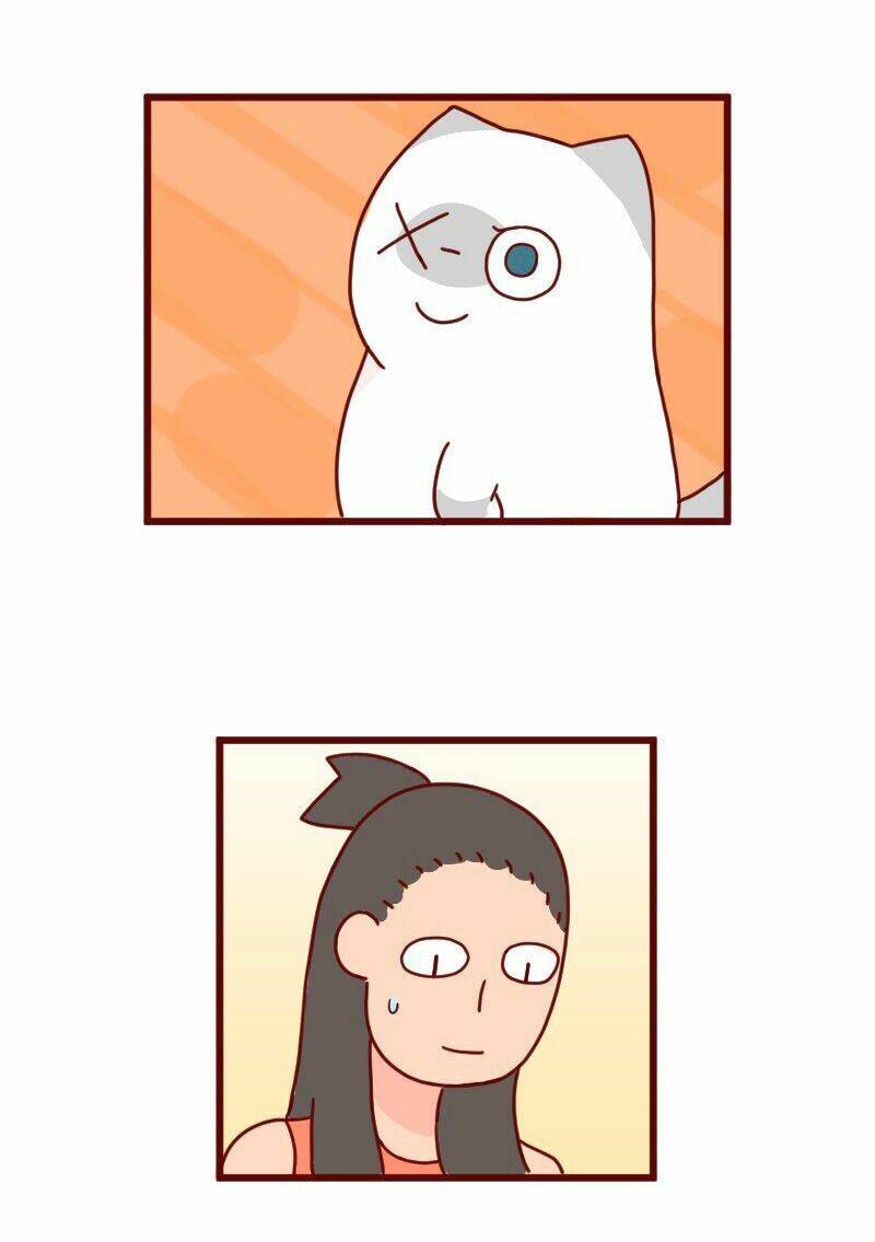 saphie: chú mèo một mắt chapter 8 7