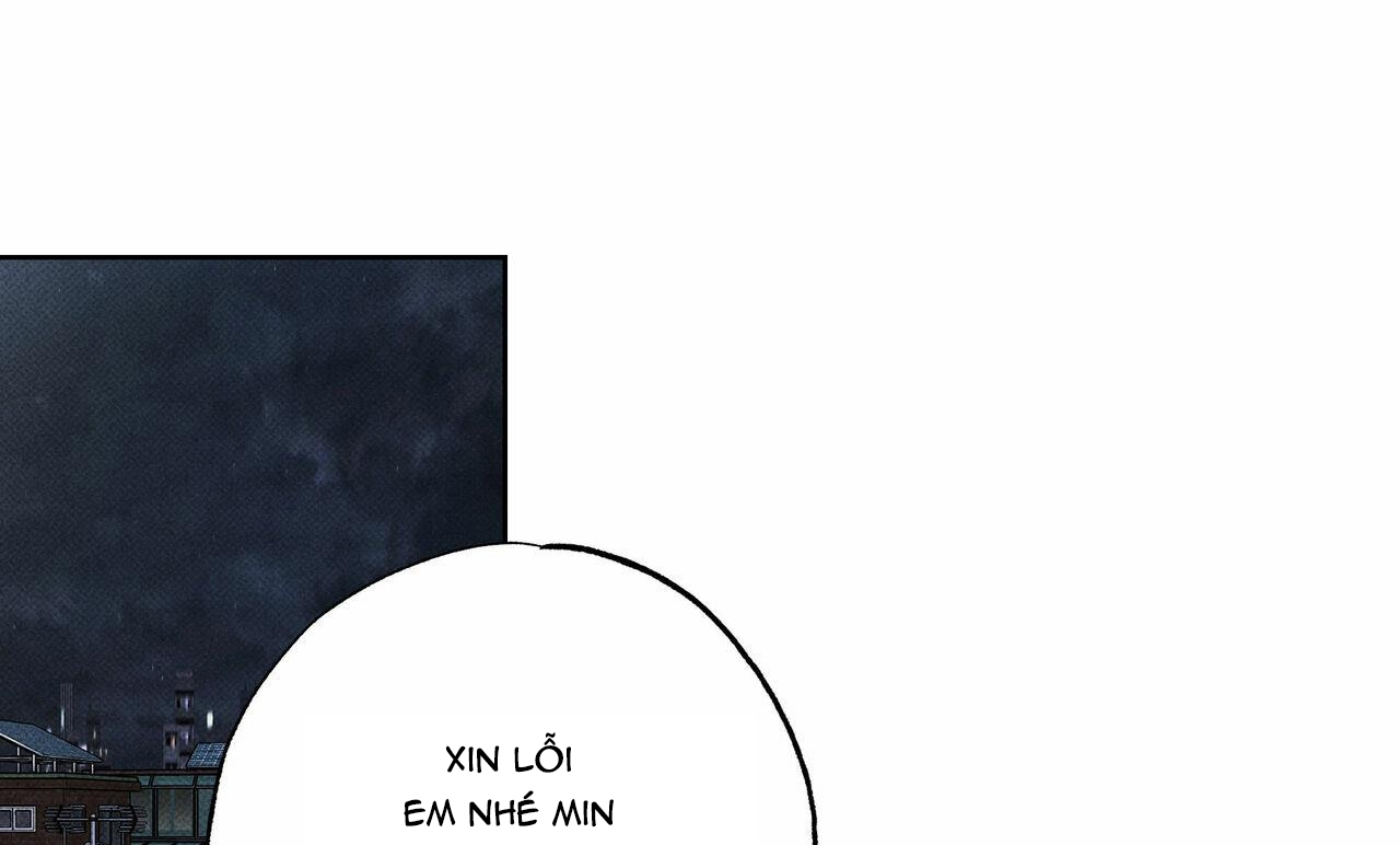 chàng giao pizza và gold palace chapter 20 185