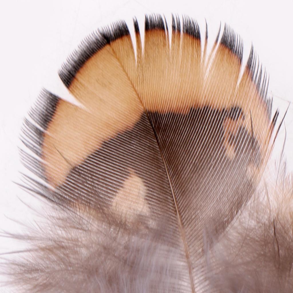 10Pcs Artificial Feathers Quills for Fly Tying/Tying Flies