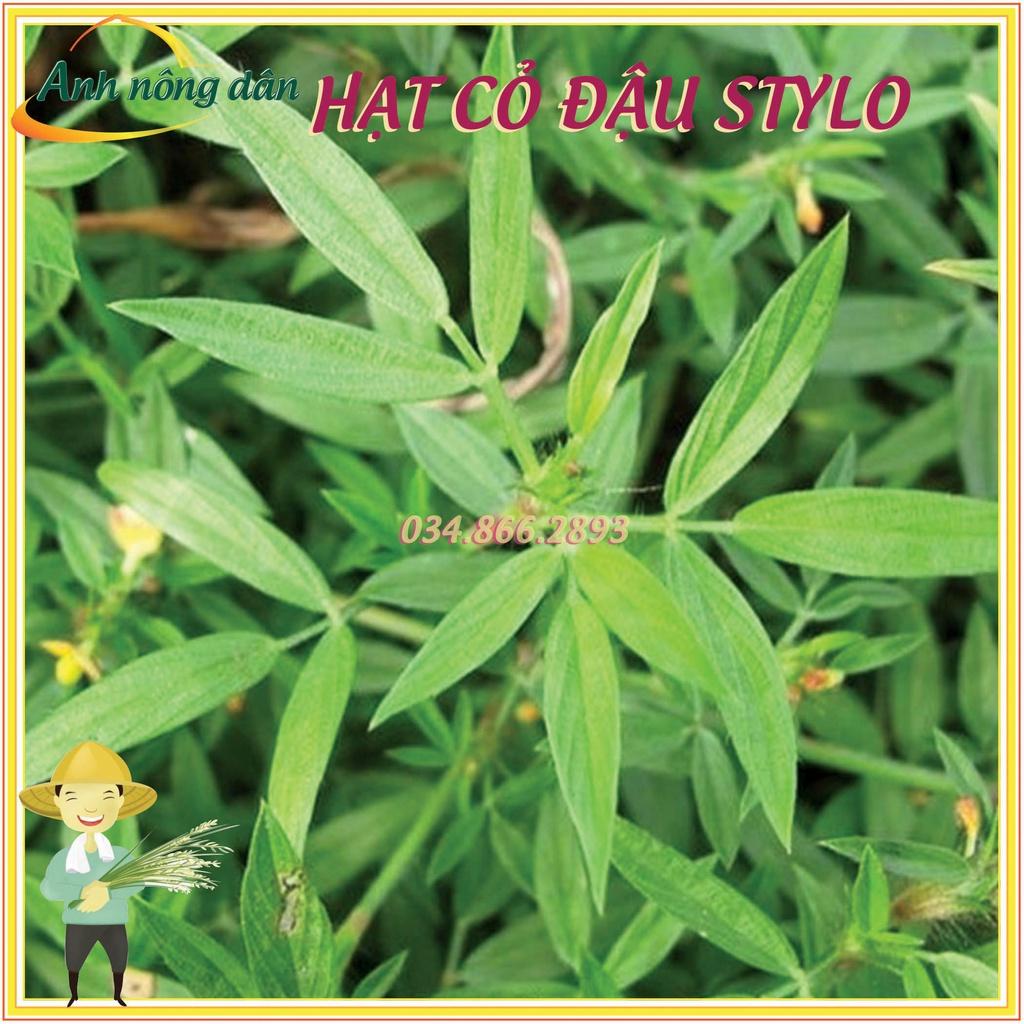 Gói 1kg Hạt giống cỏ đậu stylo giàu dinh dưỡng dùng cho chăn nuôi - Anh nông dân chính hiệu