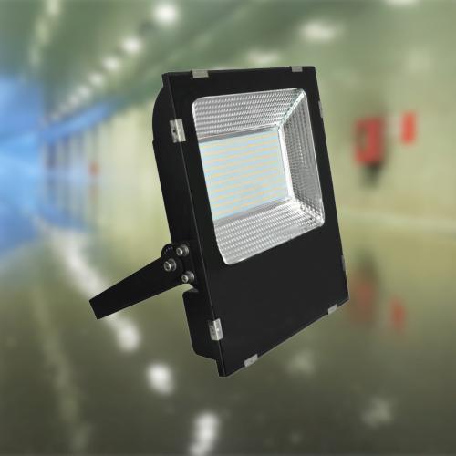 ĐÈN LED PHA IP65 100W MPE