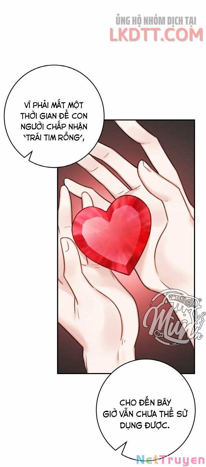 nhật ký tuần trăng mật của phù thủy và rồng chapter 46 9