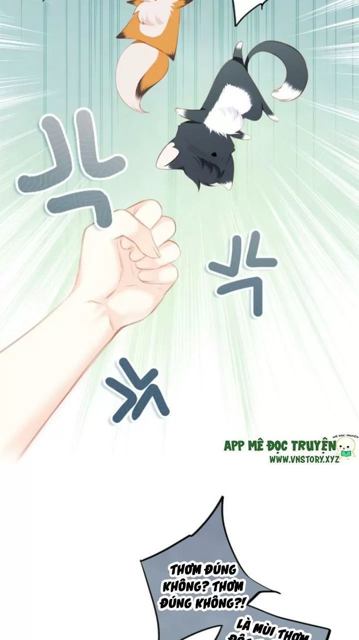 Con Tim Rung Động 2 chapter 124 - Trang 27