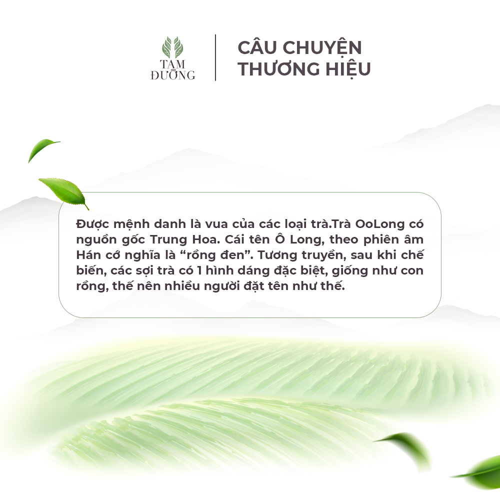 Trà Oolong Xanh Chính Hiệu Tam Đường Hương Hoa Dành Dành, Vị Thanh Ngọt Hậu - Túi Hút Chân Không