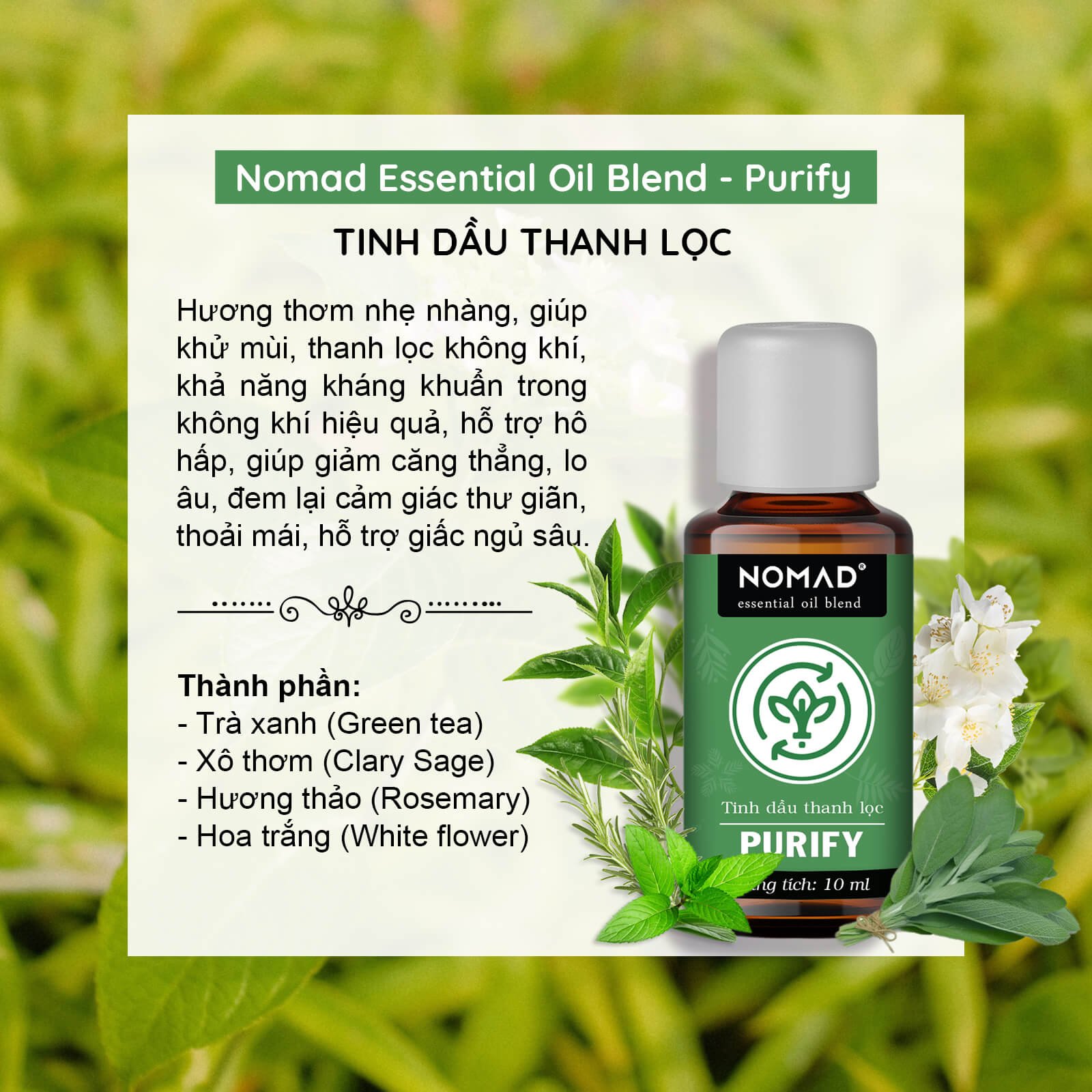 Tinh Dầu Thanh Lọc Nomad Essential Oil Blend - Purify
