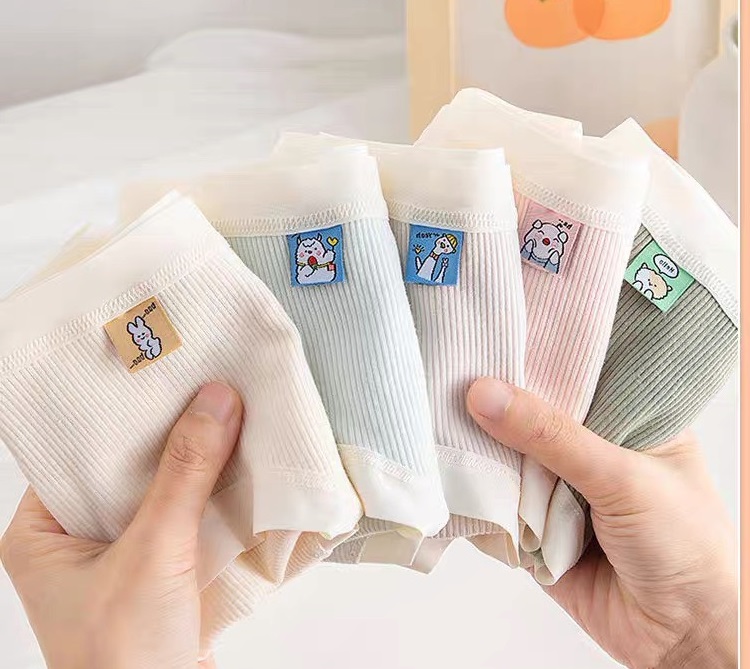 Combo 5 Quần Lót Nữ cotton gân tăm kẻ sọc cao cấp kháng khuẩn khử mùi kem họa tiết cute và dễ thương, thương hiệu BAW G012