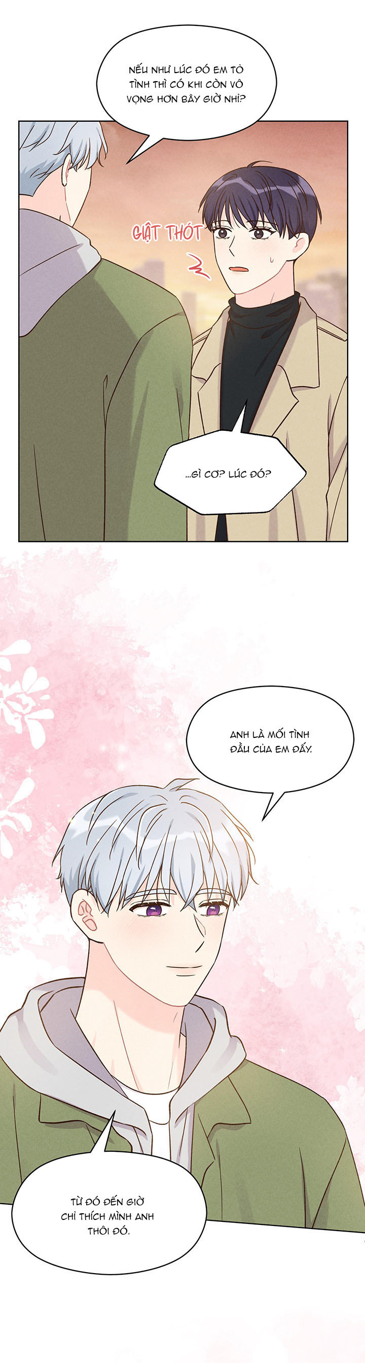 shallow focus chapter 5 19