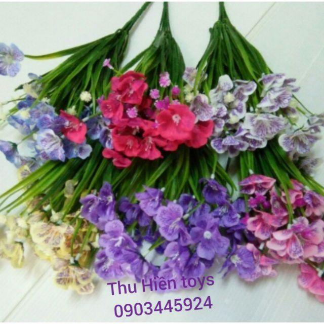 Hoa Giả - Hoa Thủy Tiên Mẫu Mới