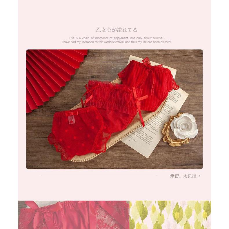 Quần Lót Nữ Cotton-Ren Hoa Kháng Khuẩn Xuất Đông Âu Hàng Loại Đẹp.
