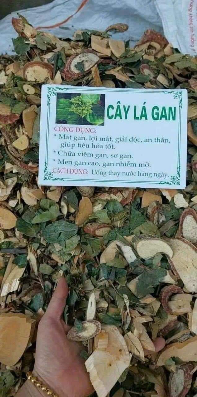 Cây lá gan 1 kg