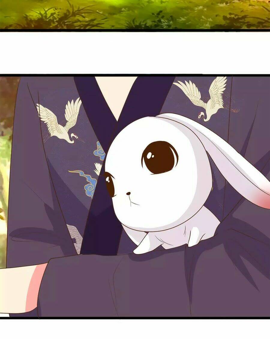 thỏ yêu tiểu vương phi chapter 93 33