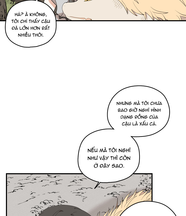 đường hoa liên kiều rơi chapter 20 63