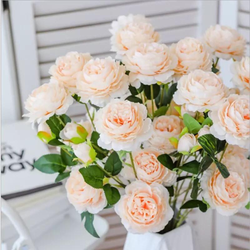 Cành hoa mẫu đơn Paeonia cao 61cm trang trí nhà cửa