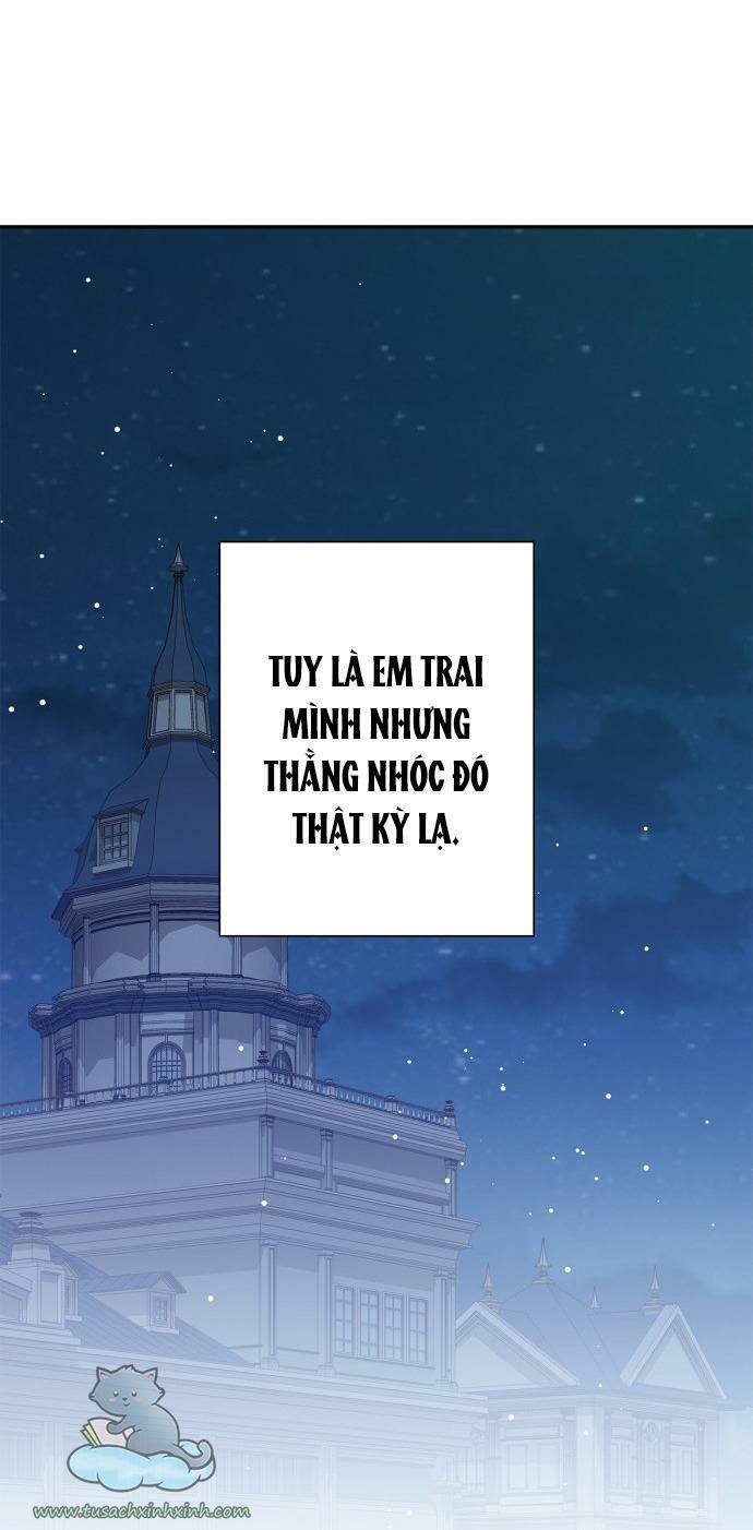 tôi đang nuôi dưỡng một con quái thú chapter 62 70