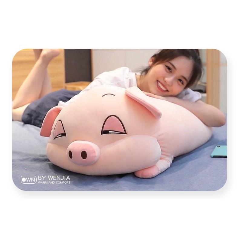 Bộ Chăn Gối Hình Heo Lười Dễ Thương Chất Liệu Mềm Mịn Size 50cm