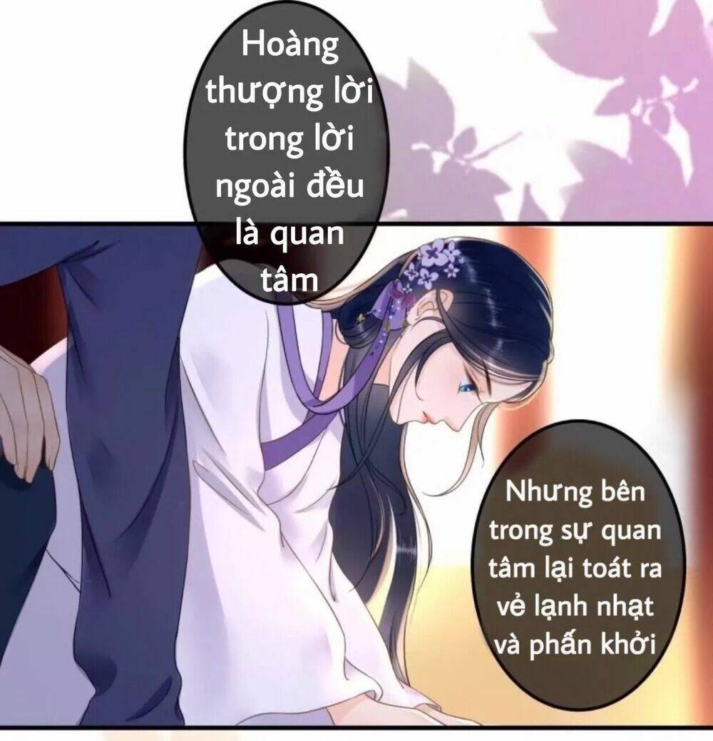 sủng phi của vương chapter 80 4