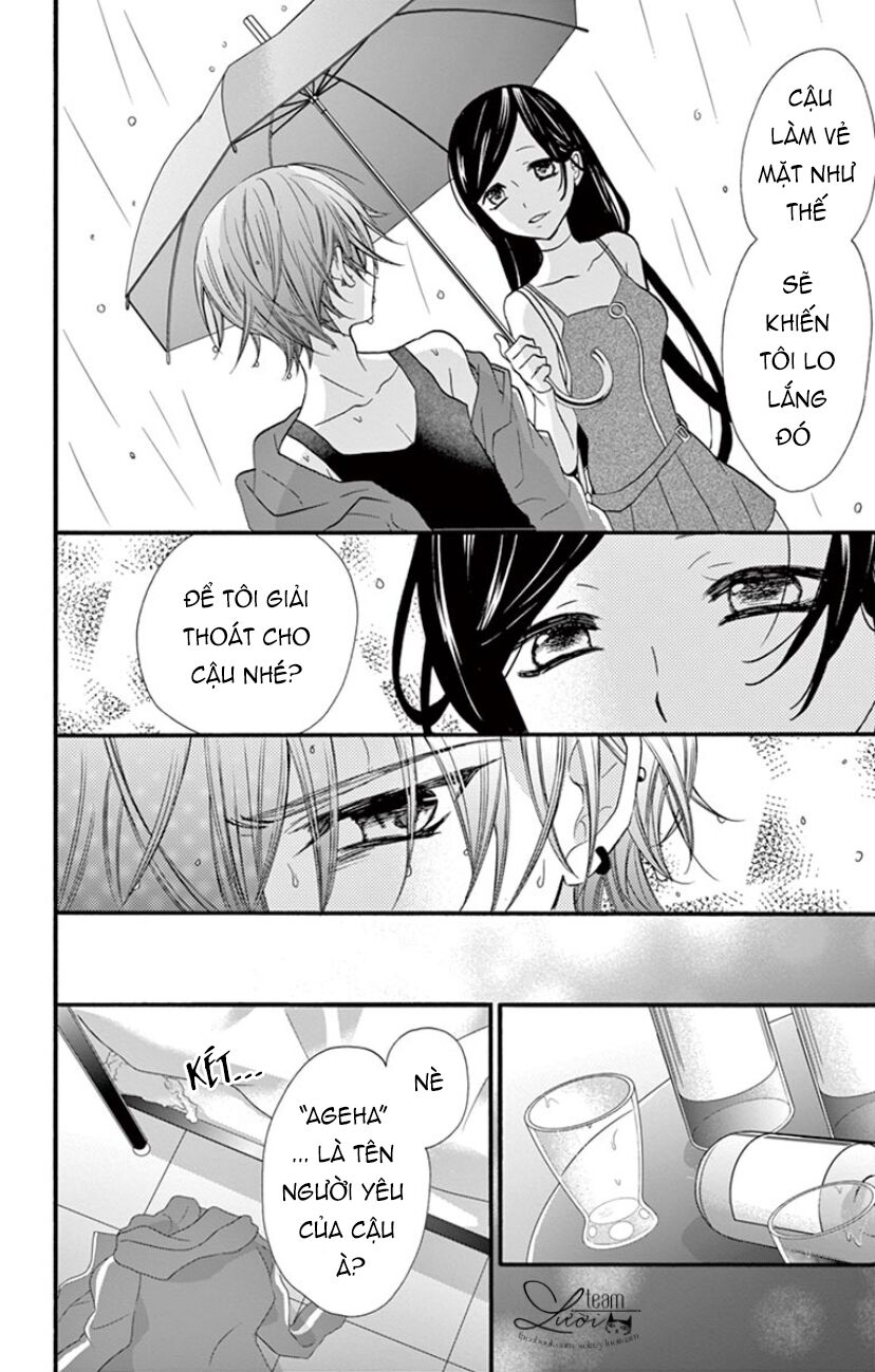 chàng rể giả nhân giả nghĩa chapter 17 9