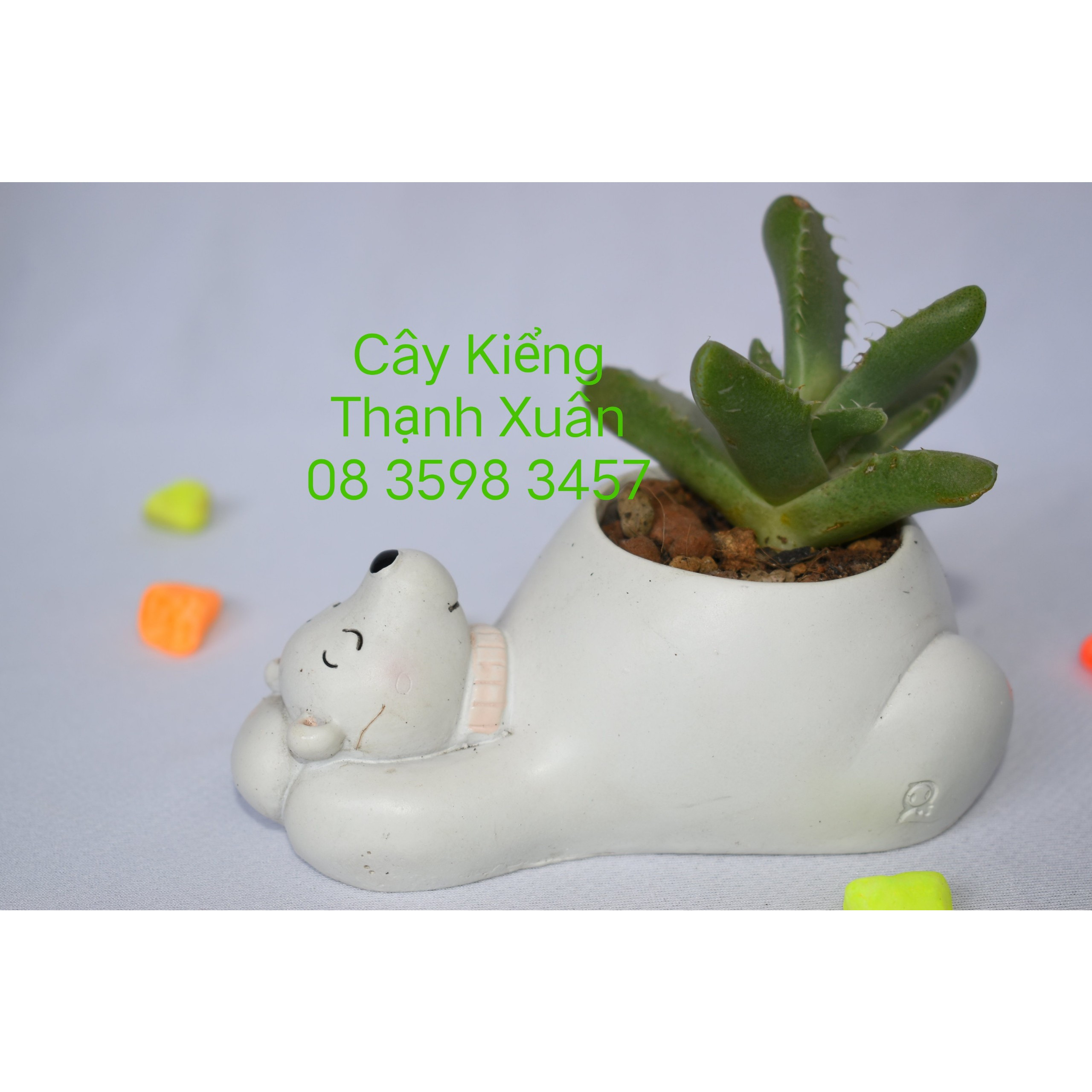 Chậu trồng cây sen đá xương rồng mini hình thú chậu nhựa composite dễ thương nhiều mẫu