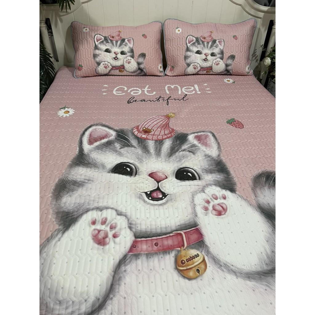 CHIẾU ĐIỀU HOÀ CAO SU NON LATEX 5D MÁT LẠNH size 1m8*2m