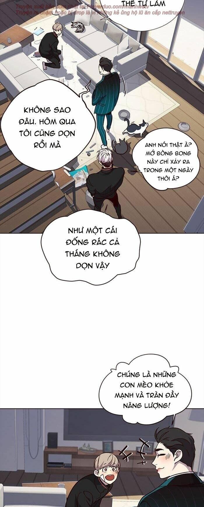 biến thân thành mèo chapter 35 7