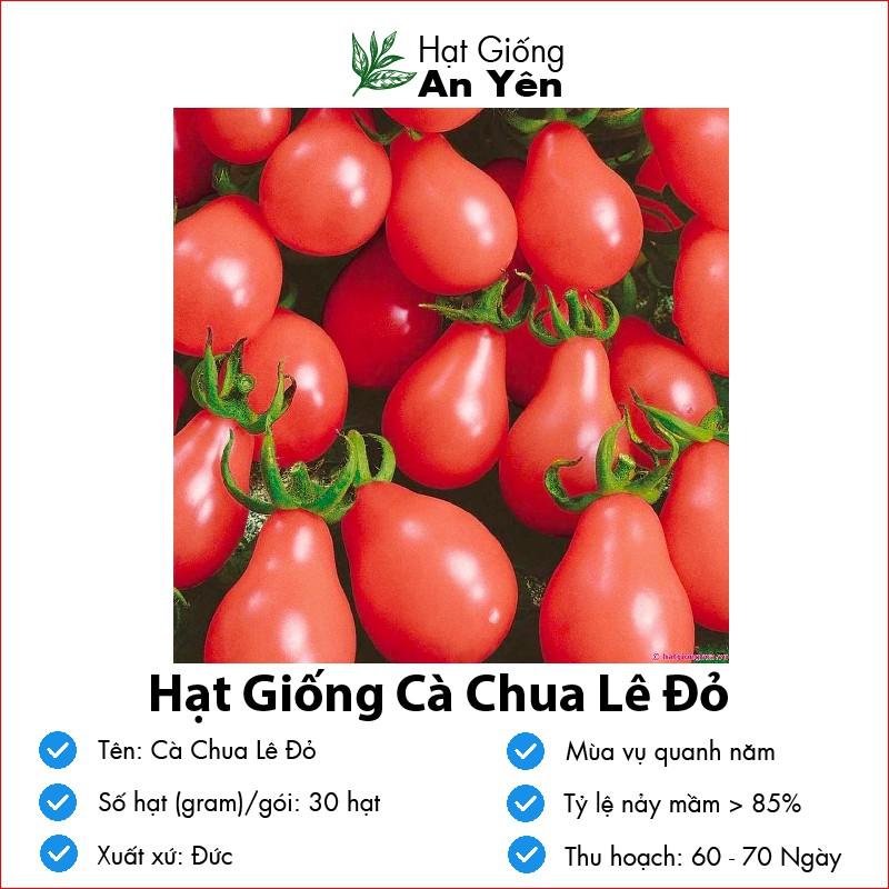 Hạt giống Cà Chua Cherry Lê Đỏ thu hoạch sớm, dễ trồng, nảy mầm cao, sinh trưởng khoẻ
