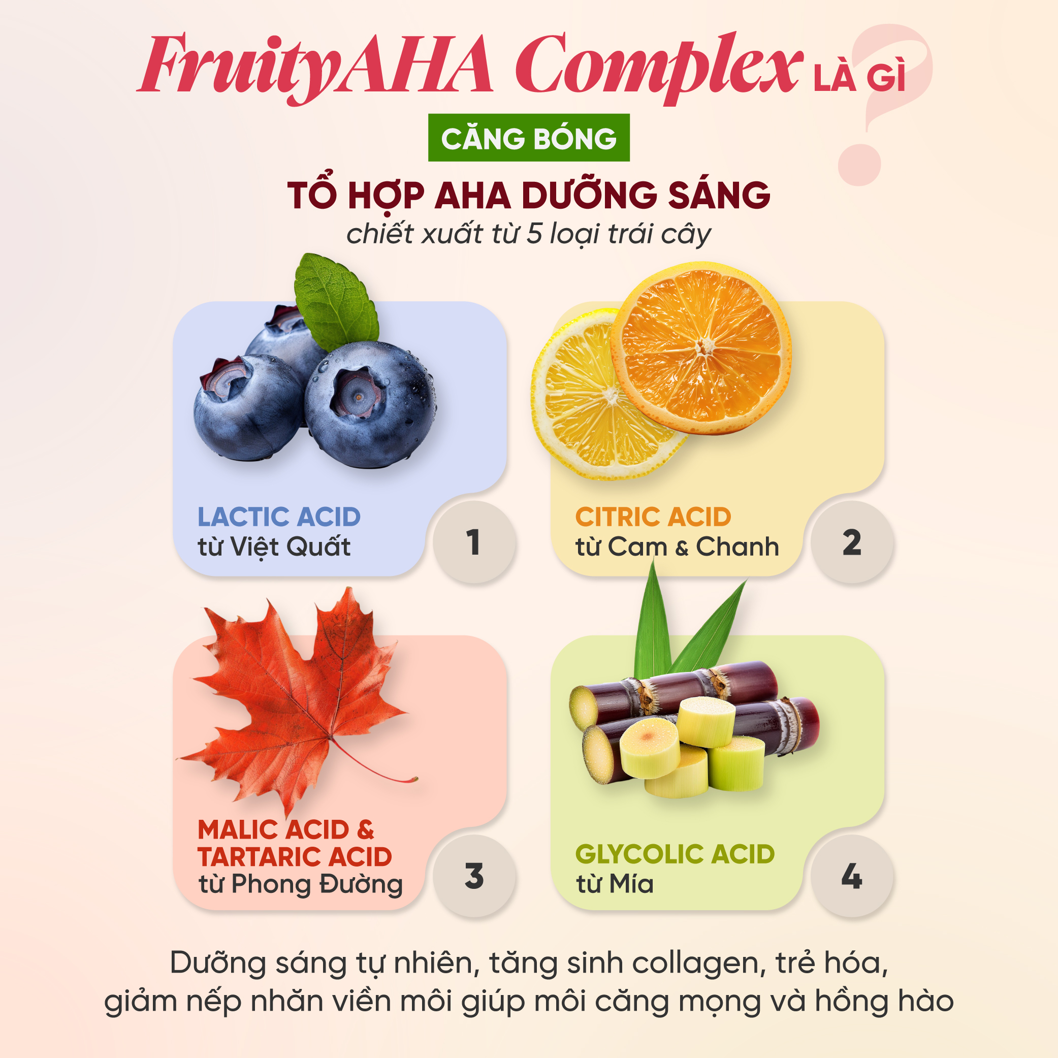 Son Dưỡng Thuần Chay Có Màu 3in1 Nha Đam Cam Thảo Heebee’s AloeLica Lip Balm Ủ Dưỡng Môi, Căng Bóng, Sáng Hồng, Mờ Thâm 3.5g