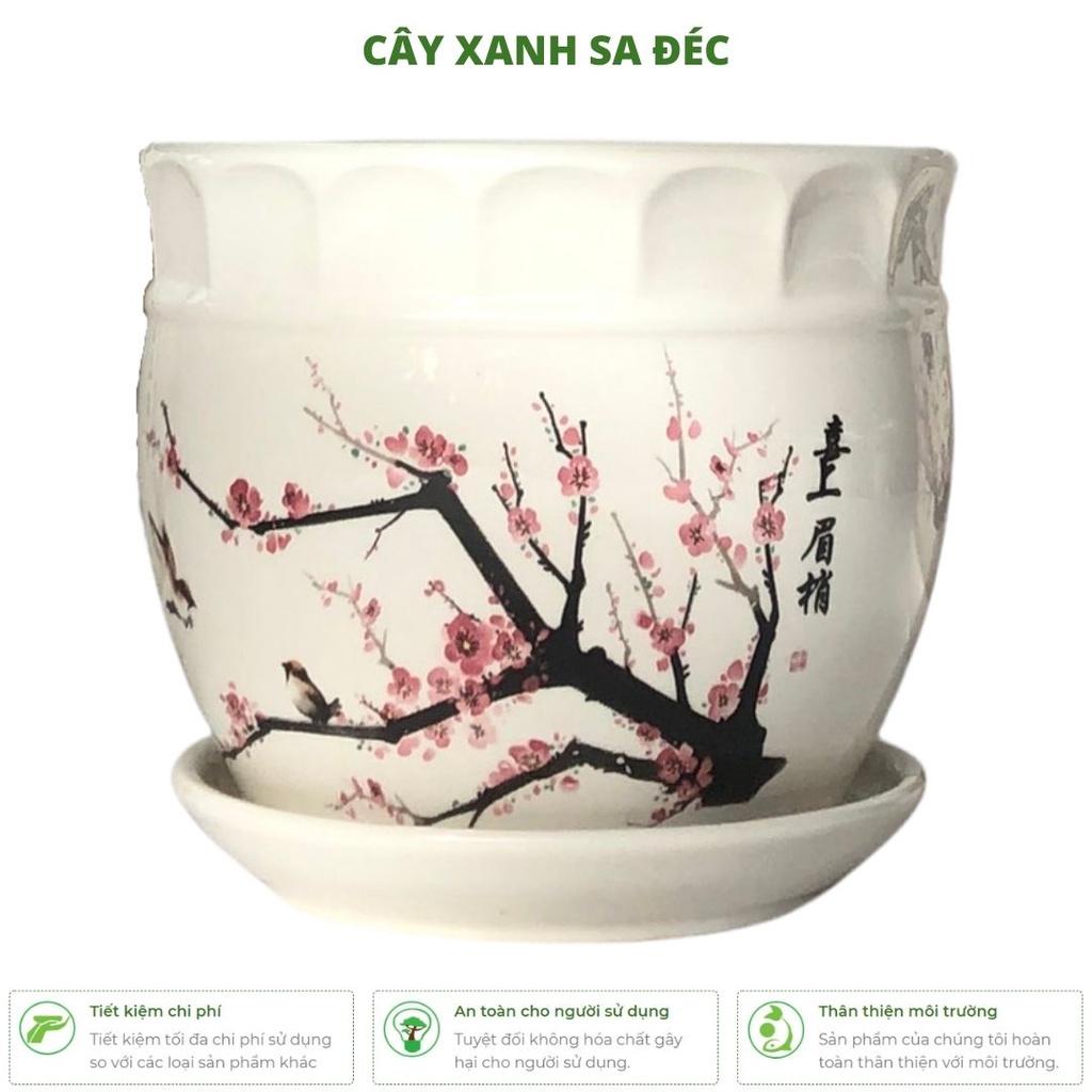 Bộ chậu men Hoa Đào Đỏ CK32 trồng cây cảnh trang trí nhà cửa, ban công, văn phòng, phòng ngủ, góc học tập