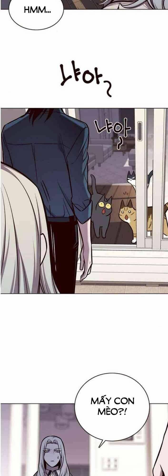biến thân thành mèo chapter 138 61