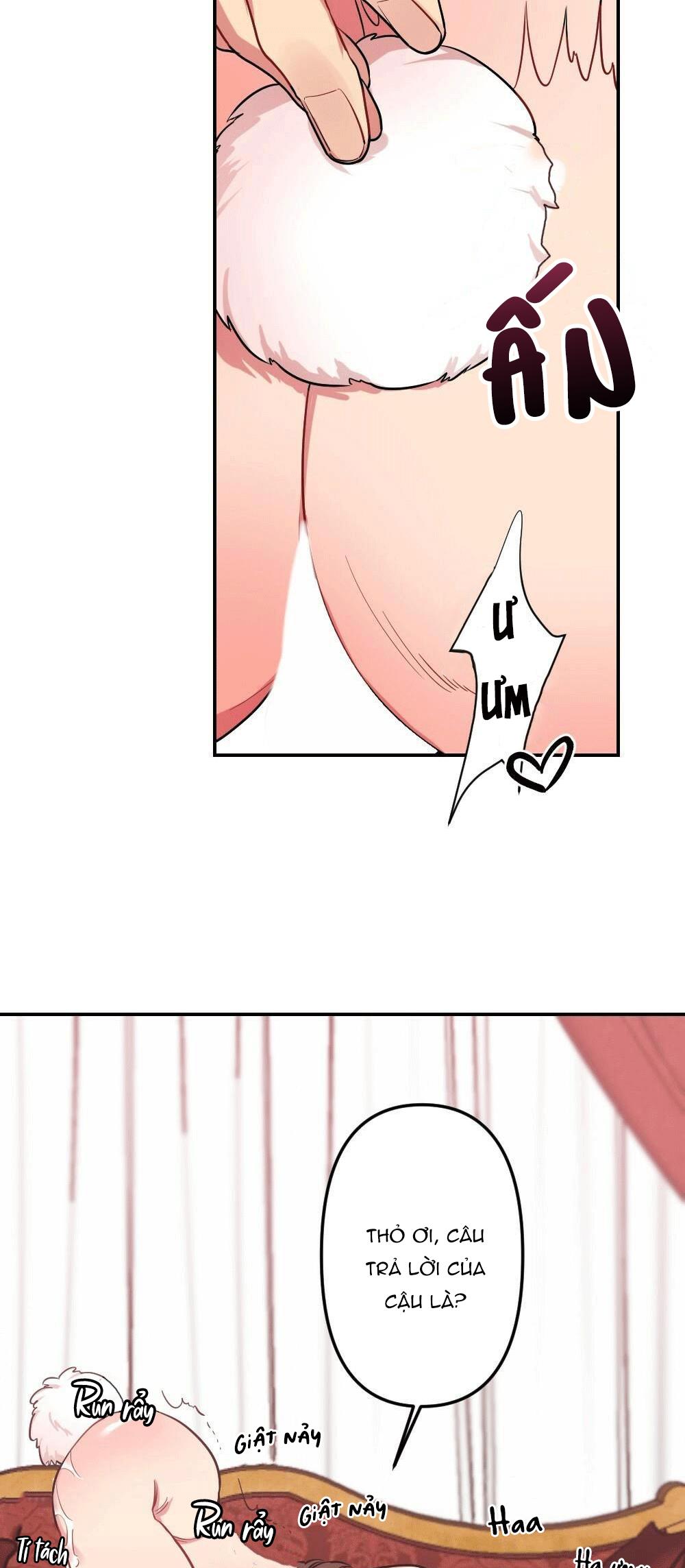 chăm sóc chapter 14 39