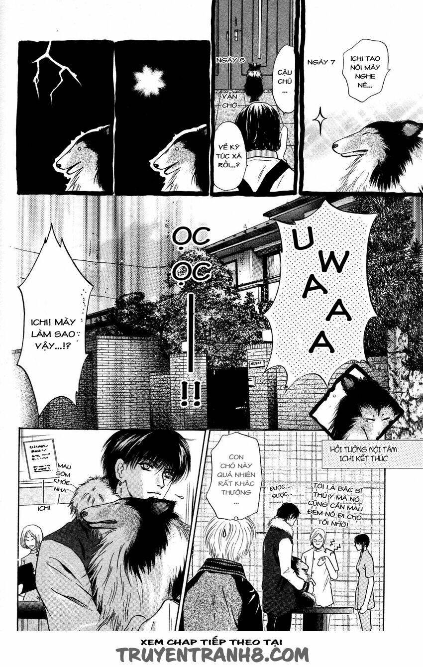 komatta toki ni wa hoshi ni kike! chapter 41 35