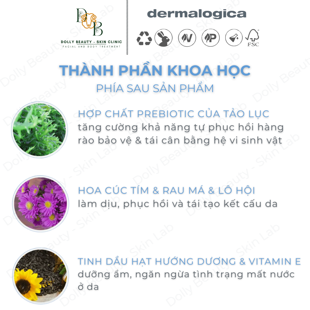 Kem dưỡng dành cho da khô INTENSIVE MOISTURE BALANCE của Dermalogica - Dolly Beauty