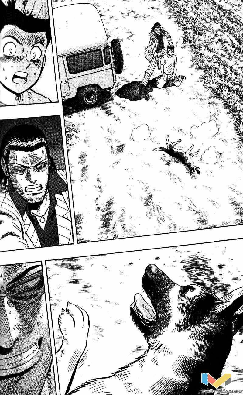 animal sense chapter 13 22