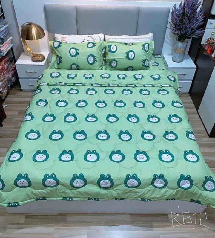 Bộ chăn ga vỏ gối 5 món 1m6x2m