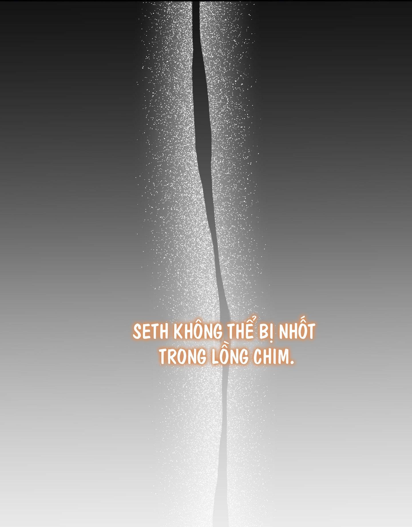 smyrna và capri chapter 53 23