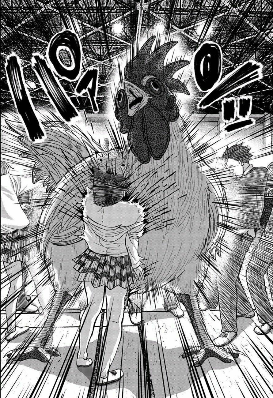 tiếng gáy sát thủ chapter 1 36